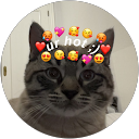 Camille Bressolles profile picture